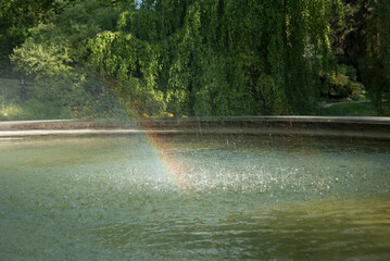 Fototapeta tęcza w fontannie w parku obraz