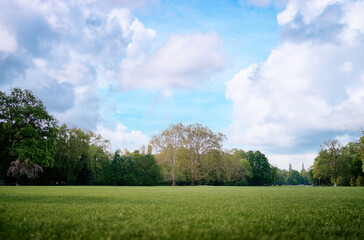 Landscape with green trees and grass field.