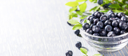 Glass bowl full of ripe fresh blueberries on grey wooden table. Superfood. Banner. Copy space.