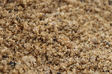 Basking under the summer sun on the south Cornwall coastline