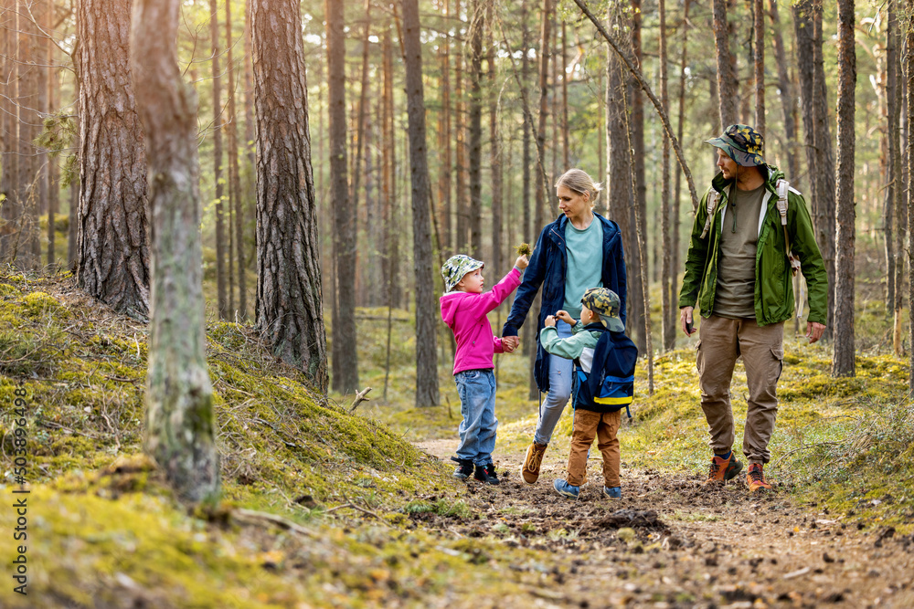 Wall mural young family walking and exploring the forest with children. nature adventures