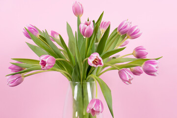 bouquet of tulips on pink background