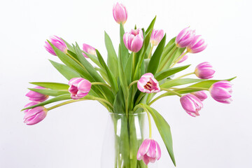 bouquet of pink tulips