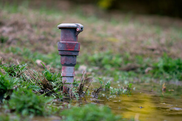 Self service sprinkler in the park