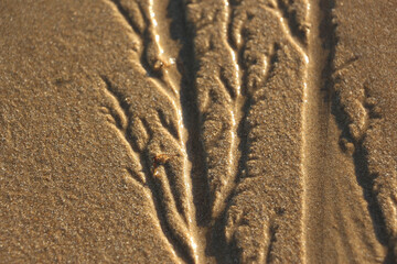Late summer strolling over the sands on the beaches of Whitstable, Kent, UK taking in the sights...