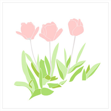 Pattern of tulips.Vector.Graphic image on a white and color background.