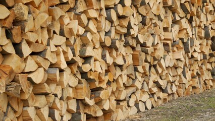 Neatly stacked firewood harvested
