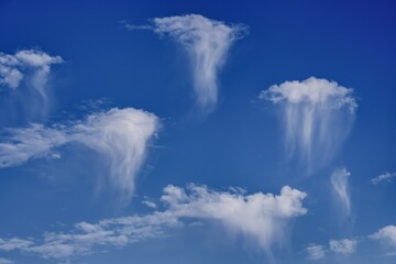 Jellyfish clouds