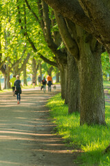 Alle am Decksteiner Weiher in Köln