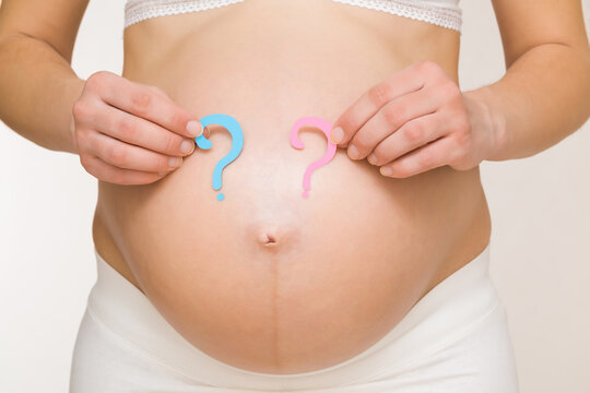 Young adult pregnant woman with big naked belly. Hands holding pink and blue question marks. Guessing future baby gender. Baby expectation. Closeup. Isolated on light gray background. Front view.