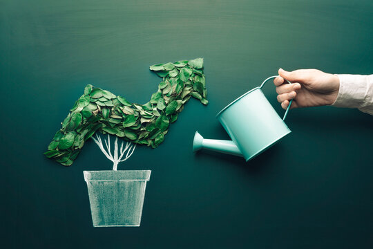 Growth chart concept. Plant in a pot shaped like growth chart. Concept of business growth, profit, development and success, growing interest in ecology and nature conservation