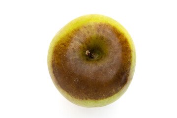 top view green rotten apple on a white background