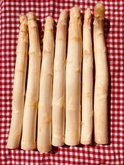 freshly harvested stalks of white asparagus lie on a red and white checkered cloth