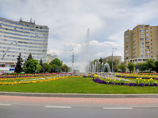 artesian well and tulips of various colors in Baia Mare city, Romania