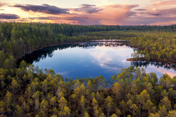Aerial view of  blue lake and forest on the sunset.  Landscape with drone. Blue lakes, islands and green forests from above. Lake landscape in Karelia.	