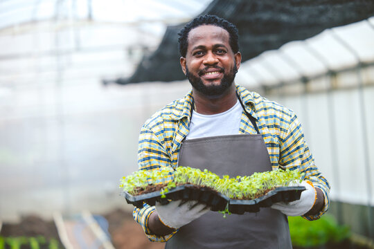 black worker farmer agriculture working in plant nursery greenhouse happy smiling.