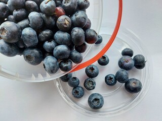 blueberries on a plate