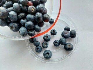 blueberries in a bowl