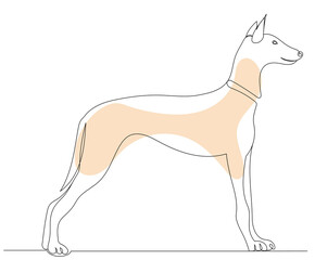 dog drawing in one continuous line, isolated, vector
