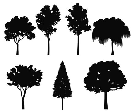 trees set silhouette, on white background, isolated, vector