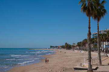 Alicante Spain beach Villajoyosa sand sea and palm trees Costa Blanca