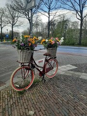 Fototapeta na wymiar bicycle with flowers in the street