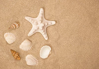 Fotobehang Zomer zonnig strand. Close up van schelpen op het zand. © Albert Ziganshin