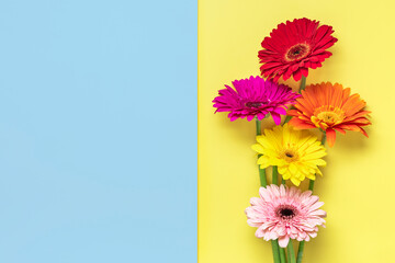 Bouquet of gerberas on yellow, blue background Top view Flat lay Holiday greeting card Happy moter's day, 8 March, Valentine's day, Easter concept Copy space Mock up