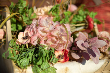 Decoration of dried flowers. Beautiful background with flower.
