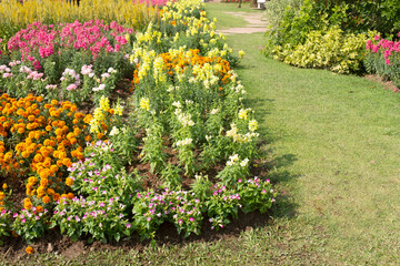 Fototapeta na wymiar flowers in the garden with grass path