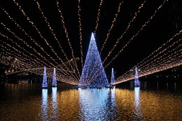 SONY DSC