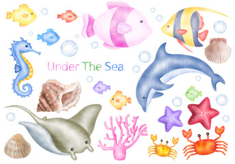Tropical fish cartoon icon. Hand drawn Isolated cartoon icon aquarium animals. Illustration Marine fish on white background.