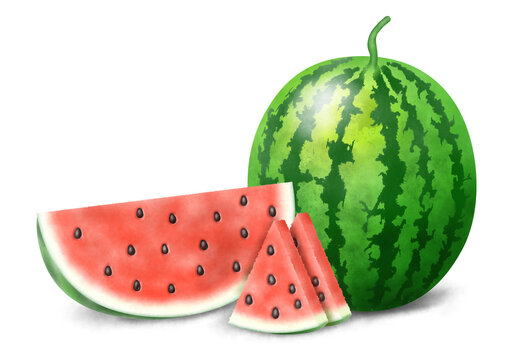 Watermelon illustration of summer fruits with a hand-painted white isolated background.