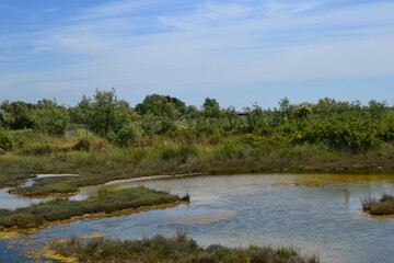 Venetian lagoon in Cavalino-Treporti Lio Piccolo