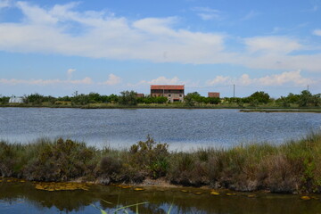 house on the water