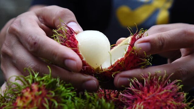 Asia woman eating rambutan