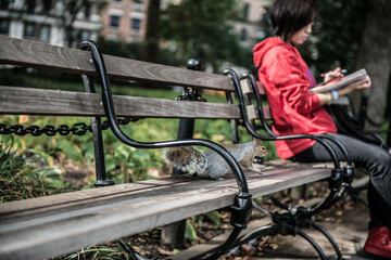 person sitting on a bench