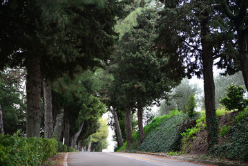 Fototapeta premium Beautiful view of asphalt road in city