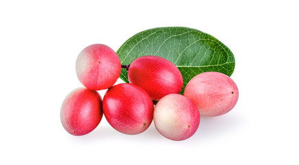 Carissa carandas  isolated on white background