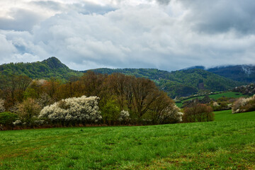 Spring mountain landscape with cloudy sky after rain. Vrsatec, Slovakia.