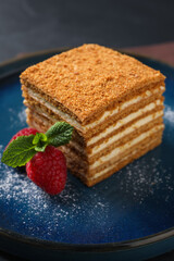 Slice of delicious layered honey cake with mint, raspberries and powdered sugar on plate, closeup