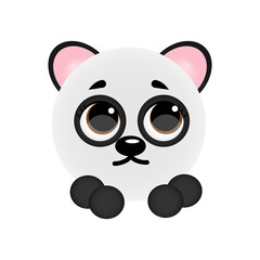 cute baby panda. vector illustration