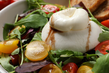 Delicious burrata salad with colorful cherry tomatoes and arugula in bowl, closeup