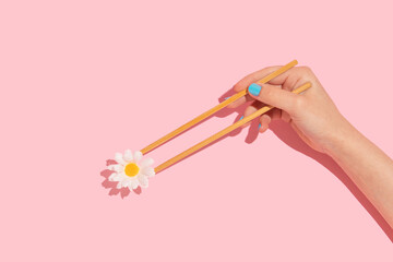 Spring or summer creative layout with woman hand holding chopsticks and white flowers on pastel...