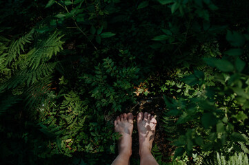 Bare feet of woman standing barefoot outdoors in nature, grounding concept.