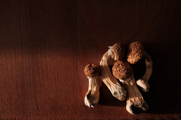 Dry Psilocybe Cubensis mushrooms on wooden board. Life style Psilocybin microdosing concept