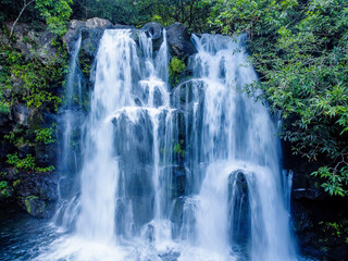 Obraz premium waterfall in the forest