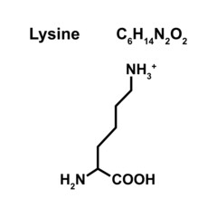 Lysine Amino Acid Chemical Structure. Vector Illustration.
