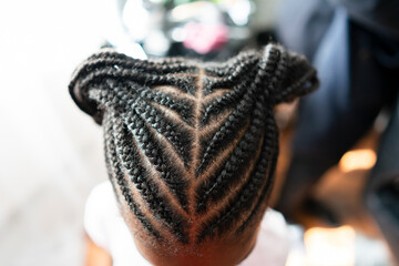 Close-up of girls braided hair