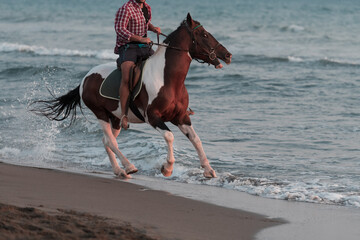 A modern man in summer clothes enjoys riding a horse on a beautiful sandy beach at sunset. Selective focus 